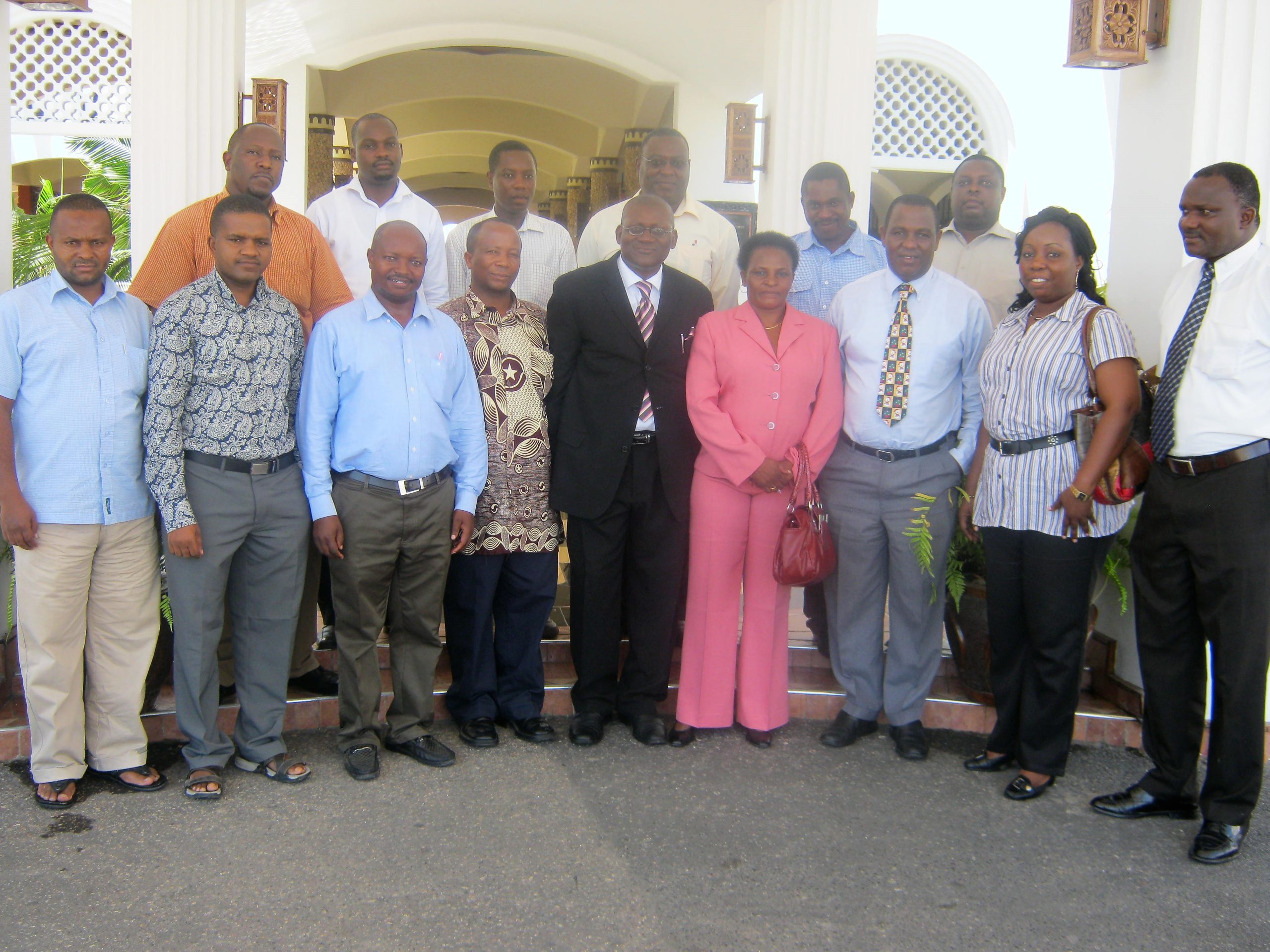 Organisational Change and Transformation, Tanzania